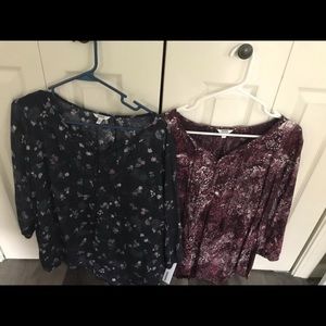 Women’s Sonoma print tops